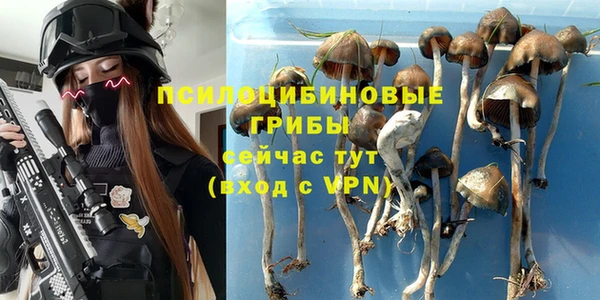 бутират Баксан
