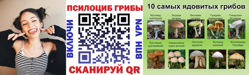 блэк спрут ссылки  что такое наркотик  Маркс  Галлюциногенные грибы MAGIC MUSHROOMS 